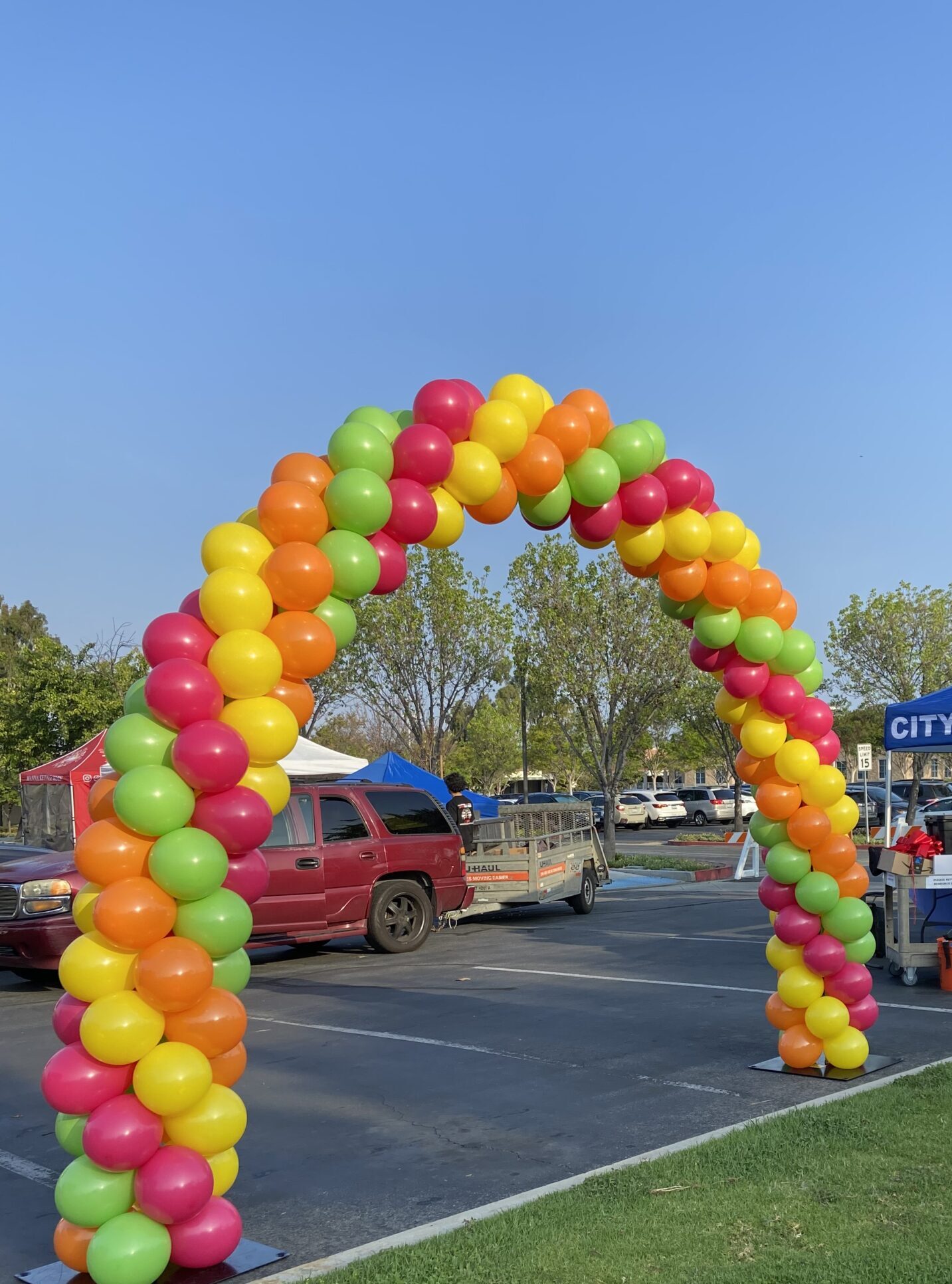 Garlands & Balloon Arches - Twist & Shout Events